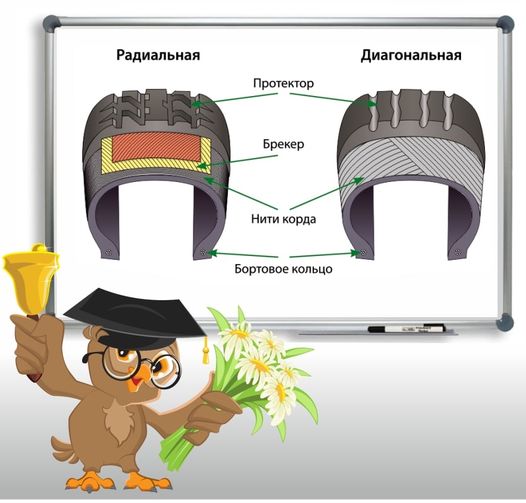 Какая шина лучше? На вопрос нельзя ответить без уточнения.